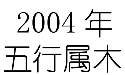 2004ʲô2004ʲô