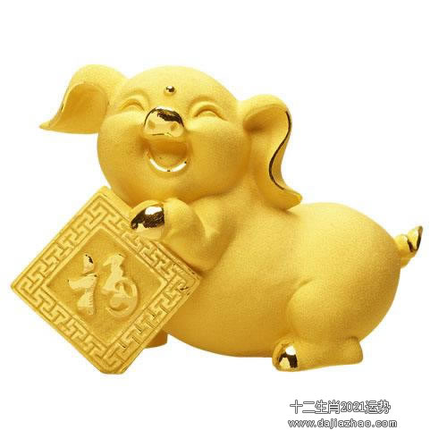属猪2021年运势及运程-2021年属猪人的全年每月运势