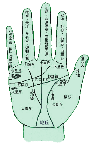 手相指节代表