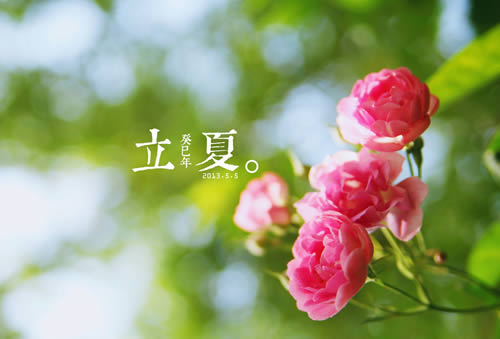 立夏