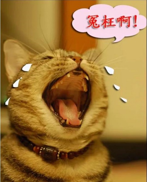 μԩ