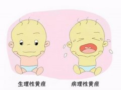 μ㲡 μ㲡ʲôԤ μ㲡ò