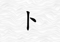 ղŮ_ղŮ100
