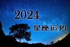 星座2024年的全年运势_十二星座2024运势大全