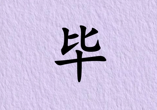 ձŮ_ձŮ100