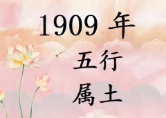 1909ʲô1909ʲô