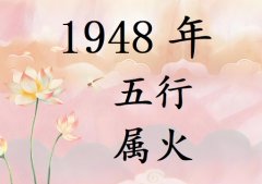 1948ʲô1948ʲô