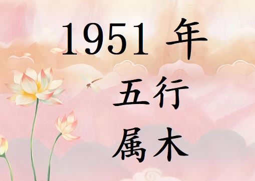 1951ʲô1951ʲô