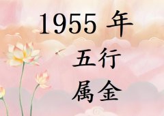 1955ʲô1955ʲô