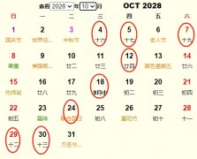 202810¿ҵƵ ʺ202810¿ҵĺ