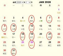20281½Ƶ ʺ20281½ĺ