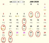 20281½׻Ƶ ʺ20281½׵ĺ