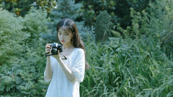 属鸡人2025年每月运势详解