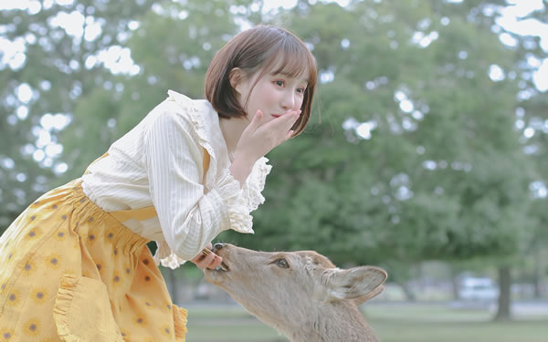 属羊人2025年每月运势详解