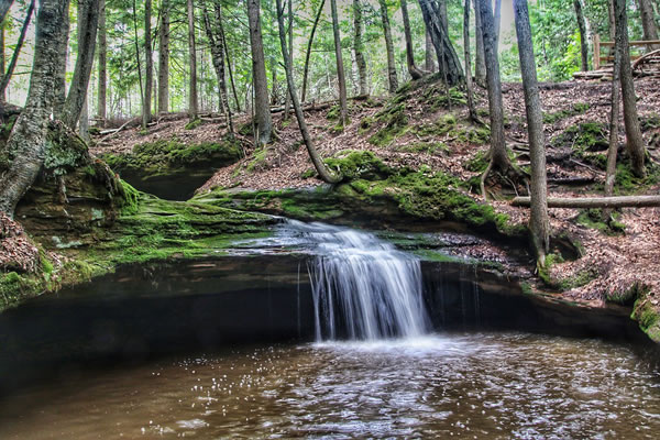 属蛇人2025年每月运势详解