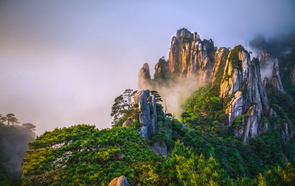 属牛人2025年每月运势详解