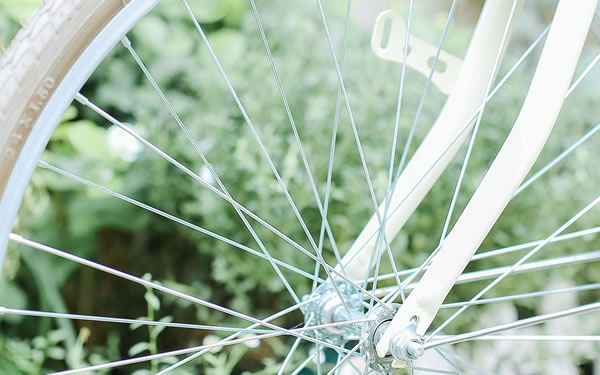 �����2026��1������������