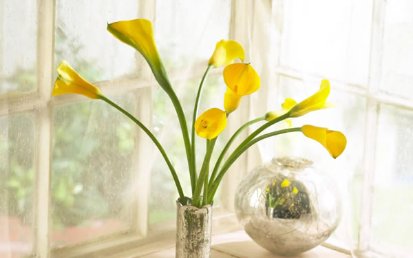 2026���ˮ������Ҫע����Щ