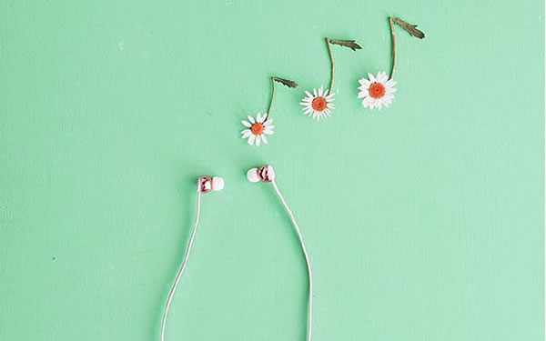 2026�������õļ�������