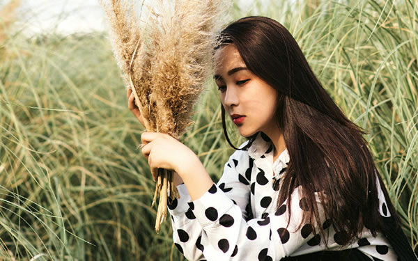 ʮ������2026���Ǯָ��