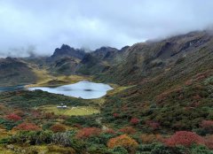 ������2026��1���������