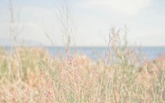 ������2026��1���������