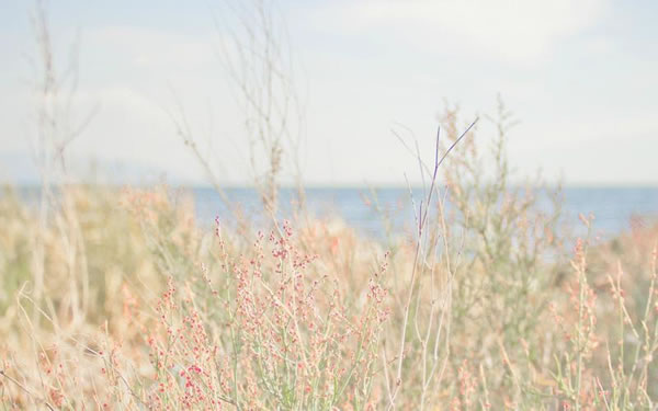 ������2026��1���������