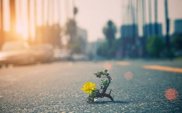 �����˵��Ը���ϸ�汾