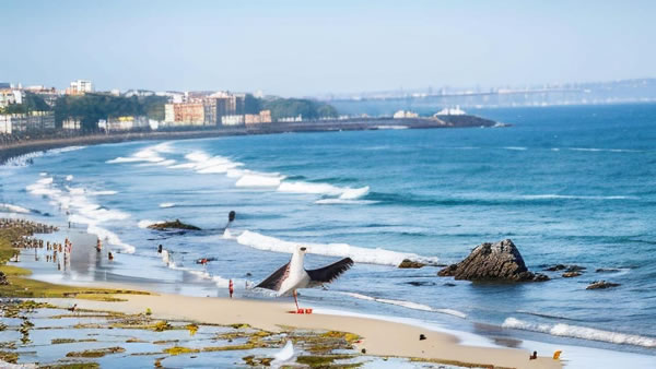 ľ����ʲô��˼�����ľ����