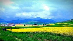 ����ʲô��˼�����