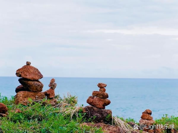 1952年属龙的人2026年生肖运势八字分析