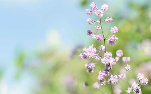 1954年属马的人2026年生肖运势八字分析