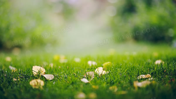 1956���������2026����Ф���ư��ַ���