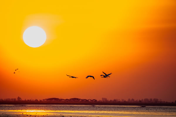 1957����������2026����Ф���ư��ַ���