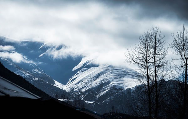 1971年属猪的人2026年生肖运势八字分析