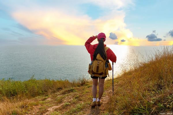 1981����������2026����Ф���ư��ַ���