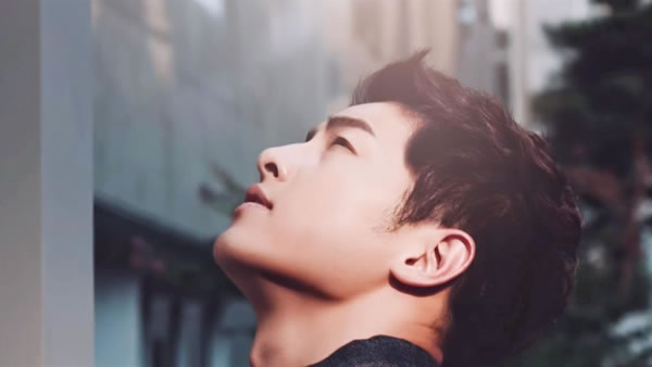 2000年属龙的人2026年生肖运势八字分析