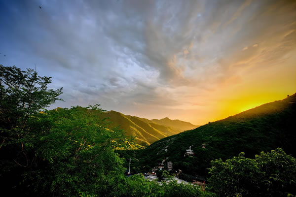 2011年属兔的人2026年生肖运势八字分析