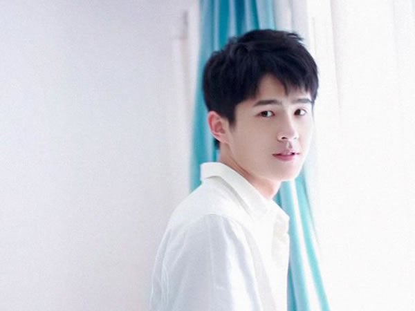 2009年属牛的人2026年生肖运势八字分析