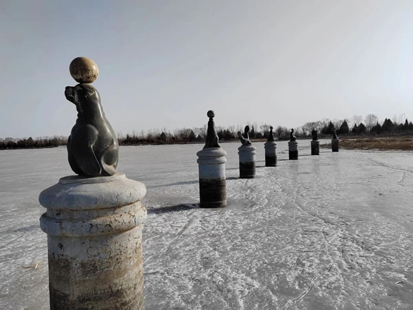 1948年属鼠的人2026年每月生肖运势详解