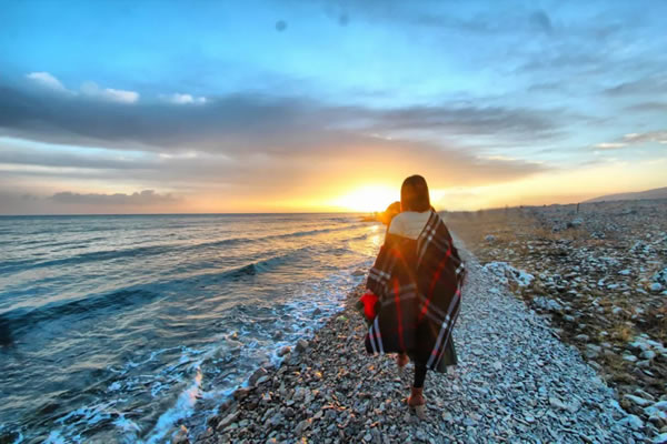 1955年属羊的人2026年每月生肖运势详解