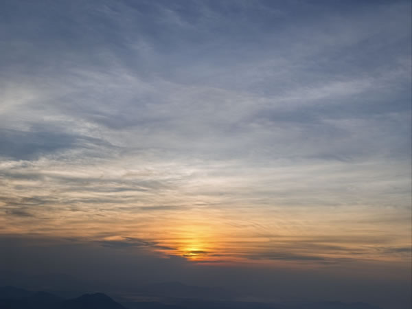 1962年属虎的人2026年每月生肖运势详解