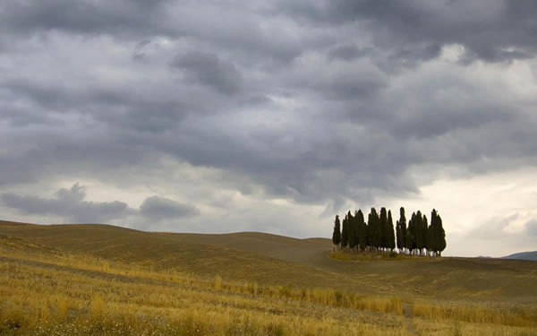 1967年属羊的人2026年每月生肖运势详解