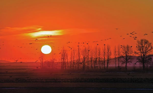 1968年属猴的人2026年每月生肖运势详解