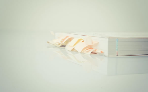 1980���������2026��ÿ����Ф�������