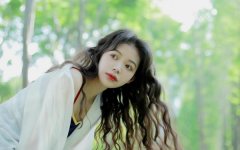 ������2026��2���������,���˽���