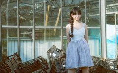 ʨ����2026��2����������