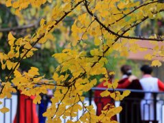 ˮƿ��2026��2����������