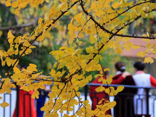 ˮƿ��2026��2����������