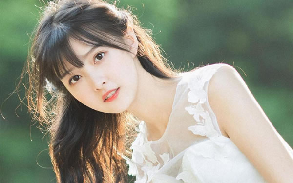 十二星座2026年2月星座运势总览